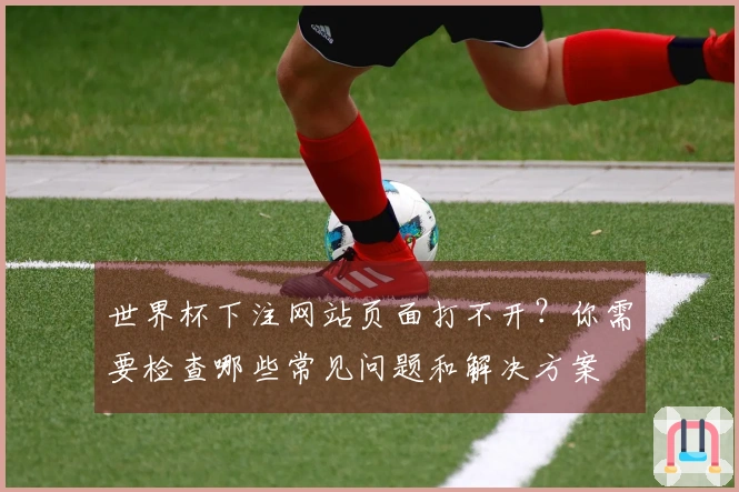 世界杯下注网站页面打不开？你需要检查哪些常见问题和解决方案